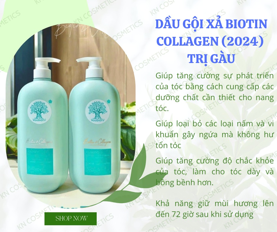 cặp gội xả biotin xanh dương trị gàu1
