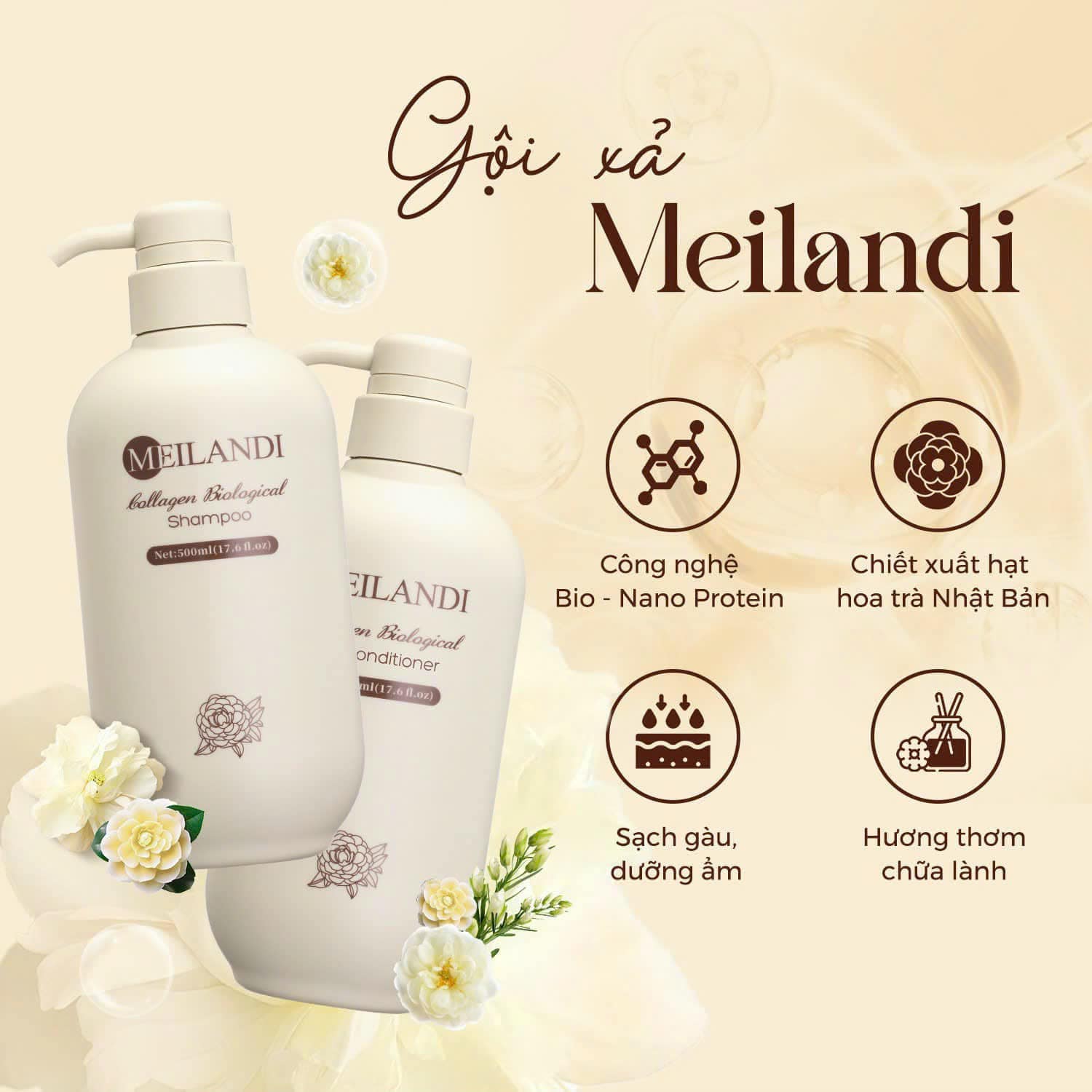 cặp gội xả medilani3