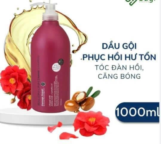 dầu gội hoa trà Salon đỏ3
